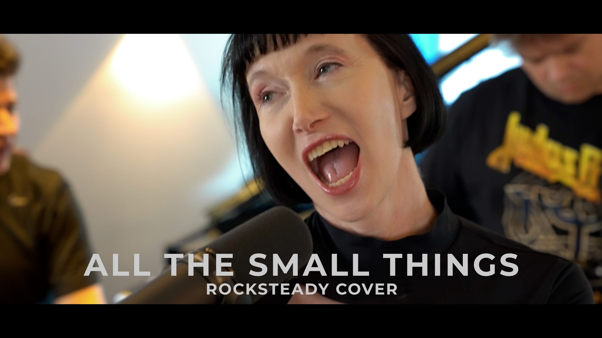 All the small things - cover